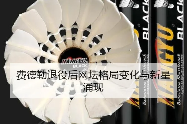 费德勒退役后网坛格局变化与新星涌现